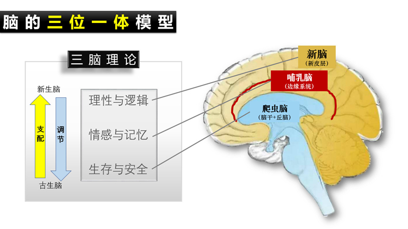 微信图片_20200317144955.jpg