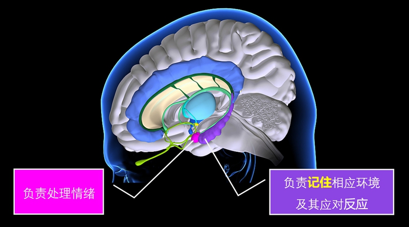 微信图片_20200317145022.jpg