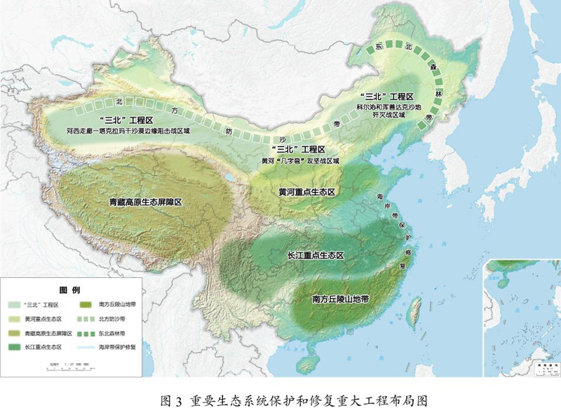 1773644230472590.jpg 22 2.jpg